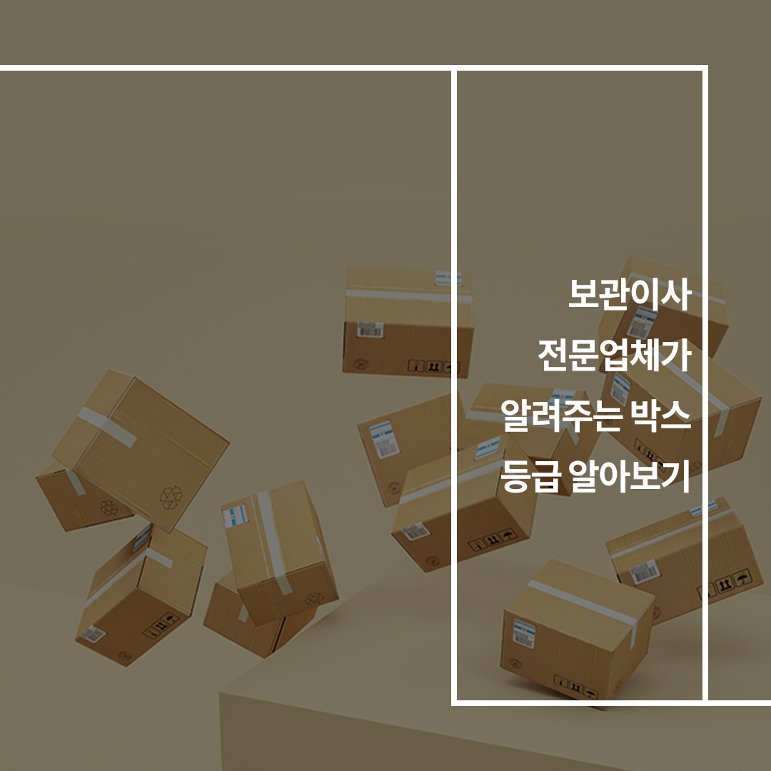 이미지6