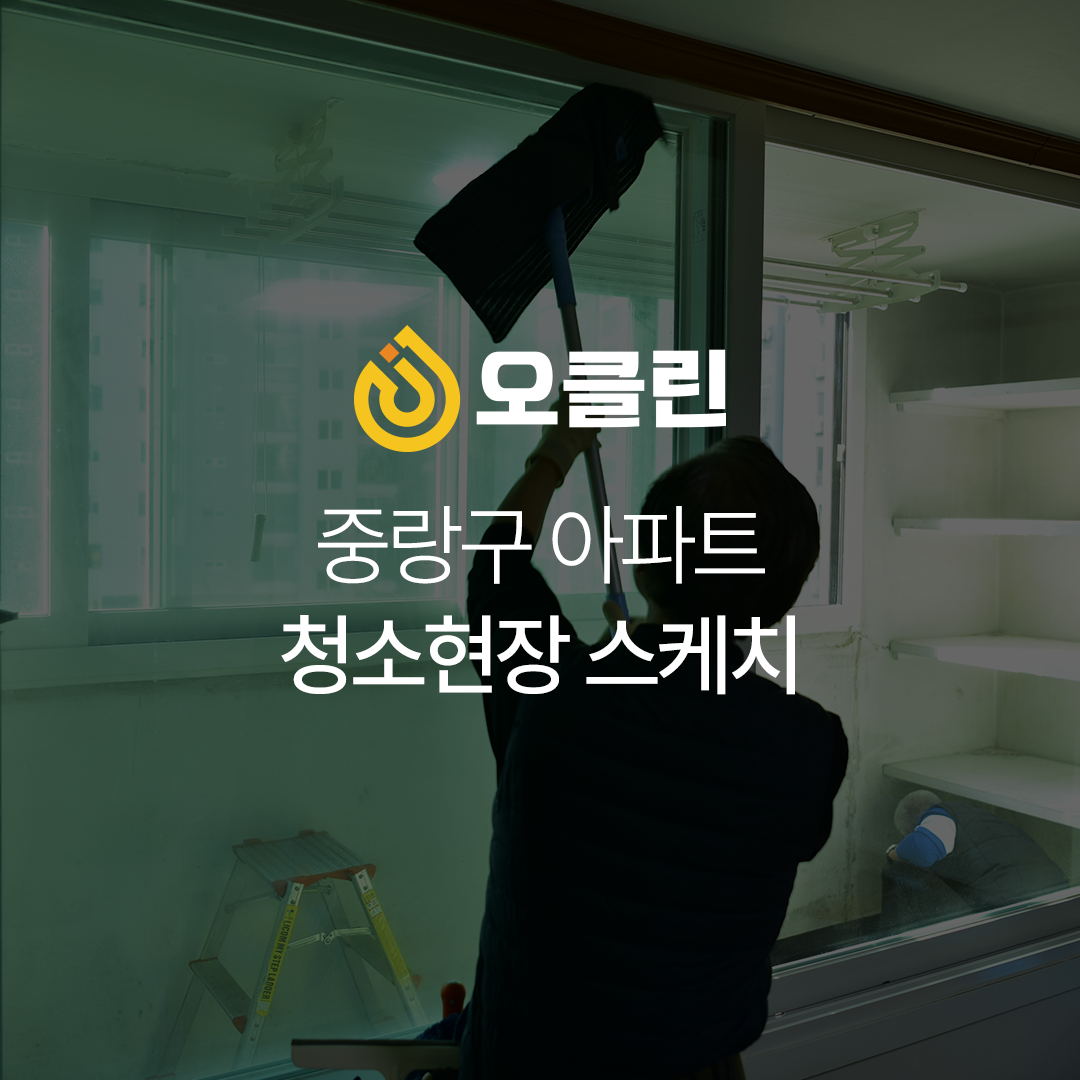 이미지4