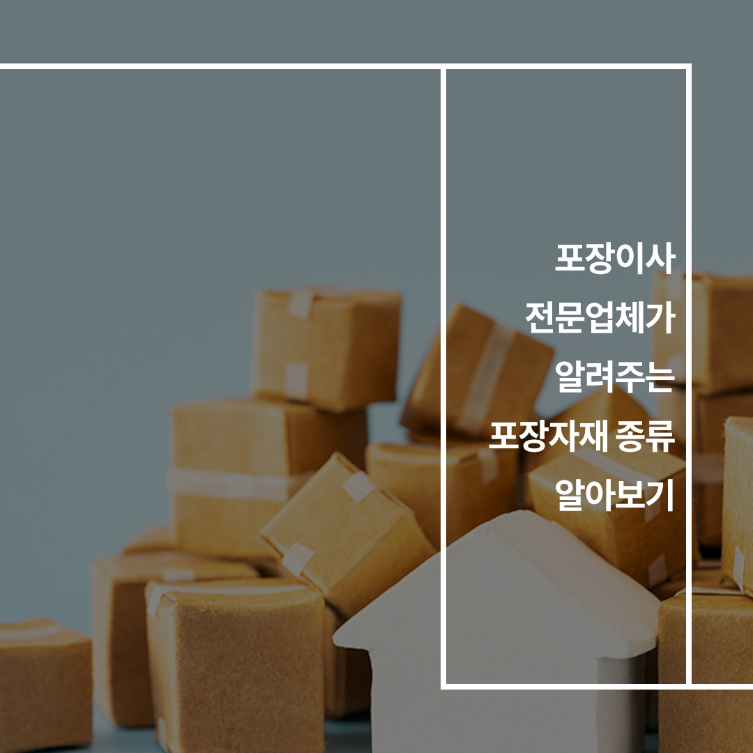 이미지7