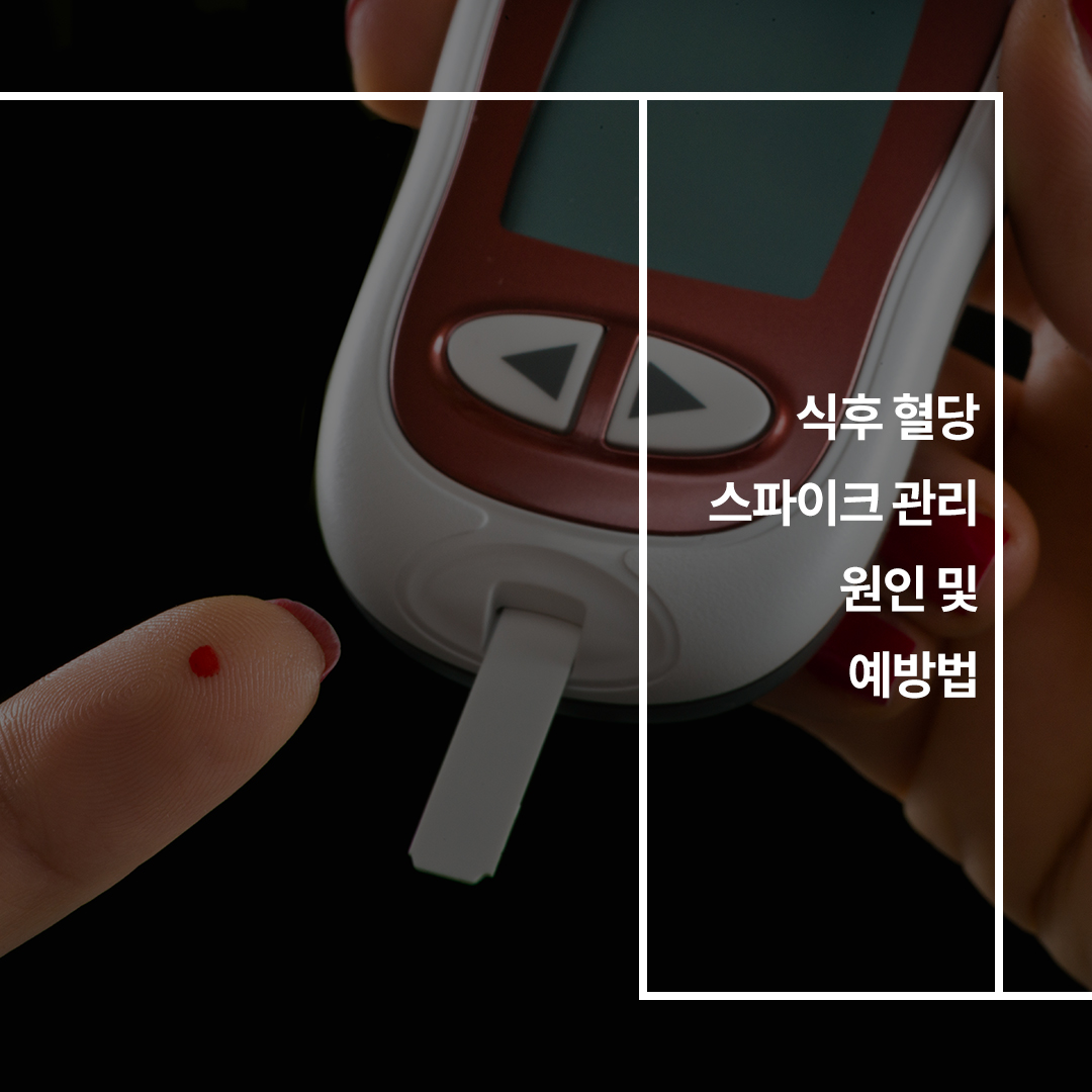 이미지1
