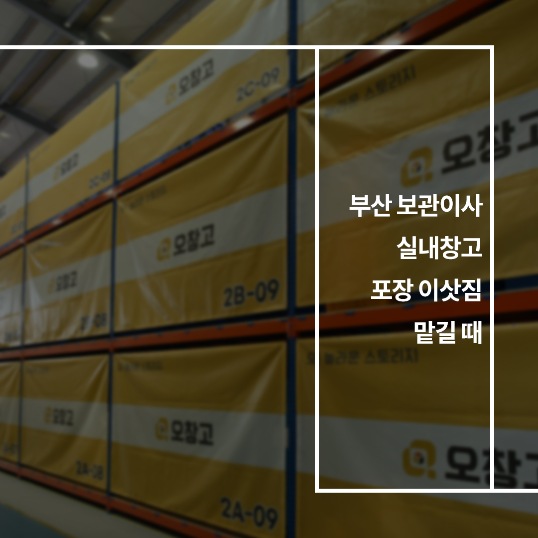 이미지6