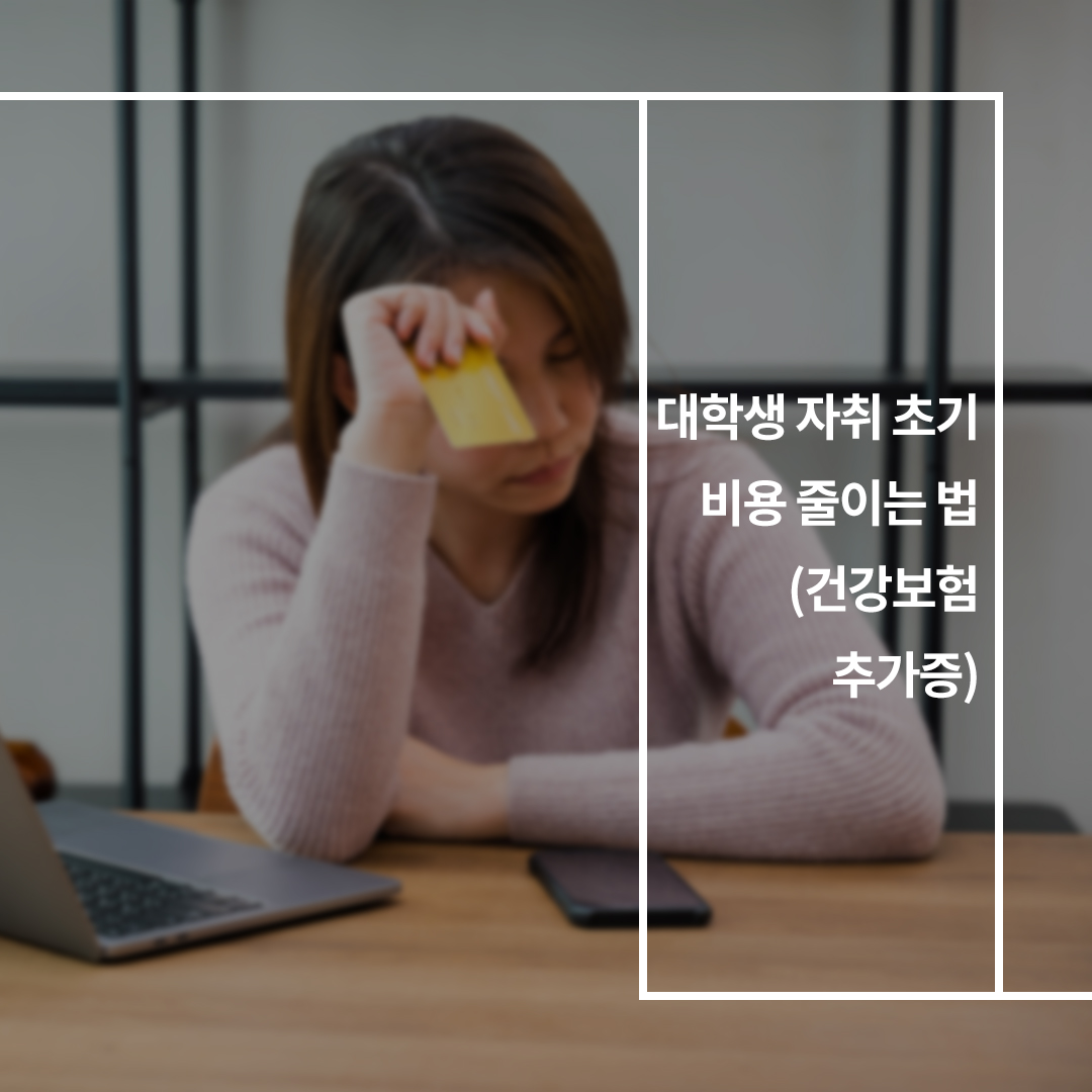 이미지5