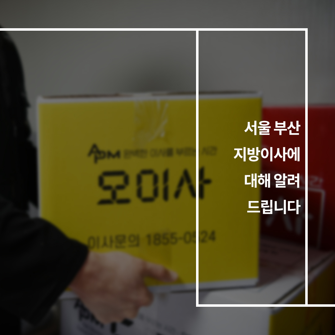 이미지1