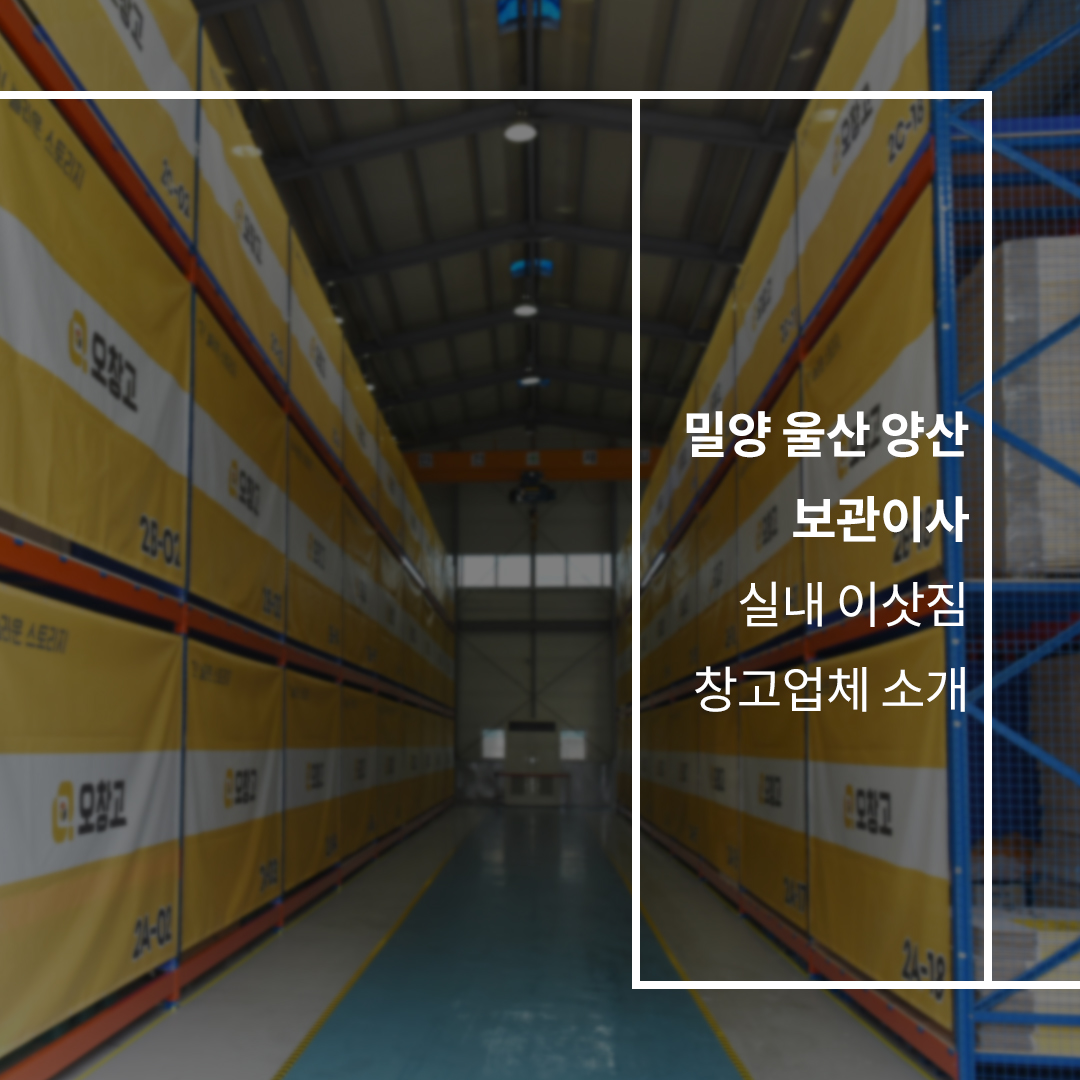 이미지7