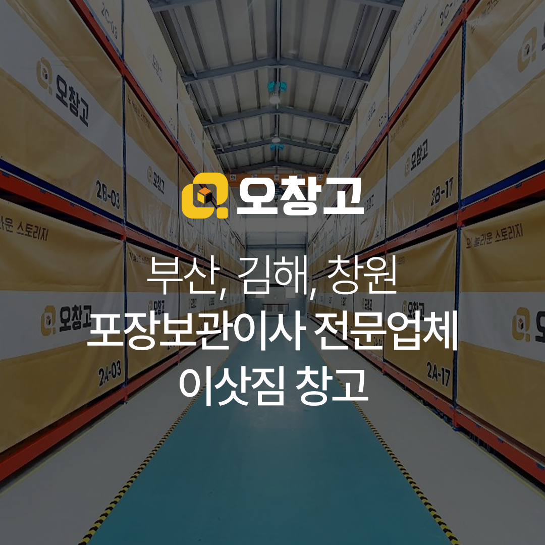 이미지6