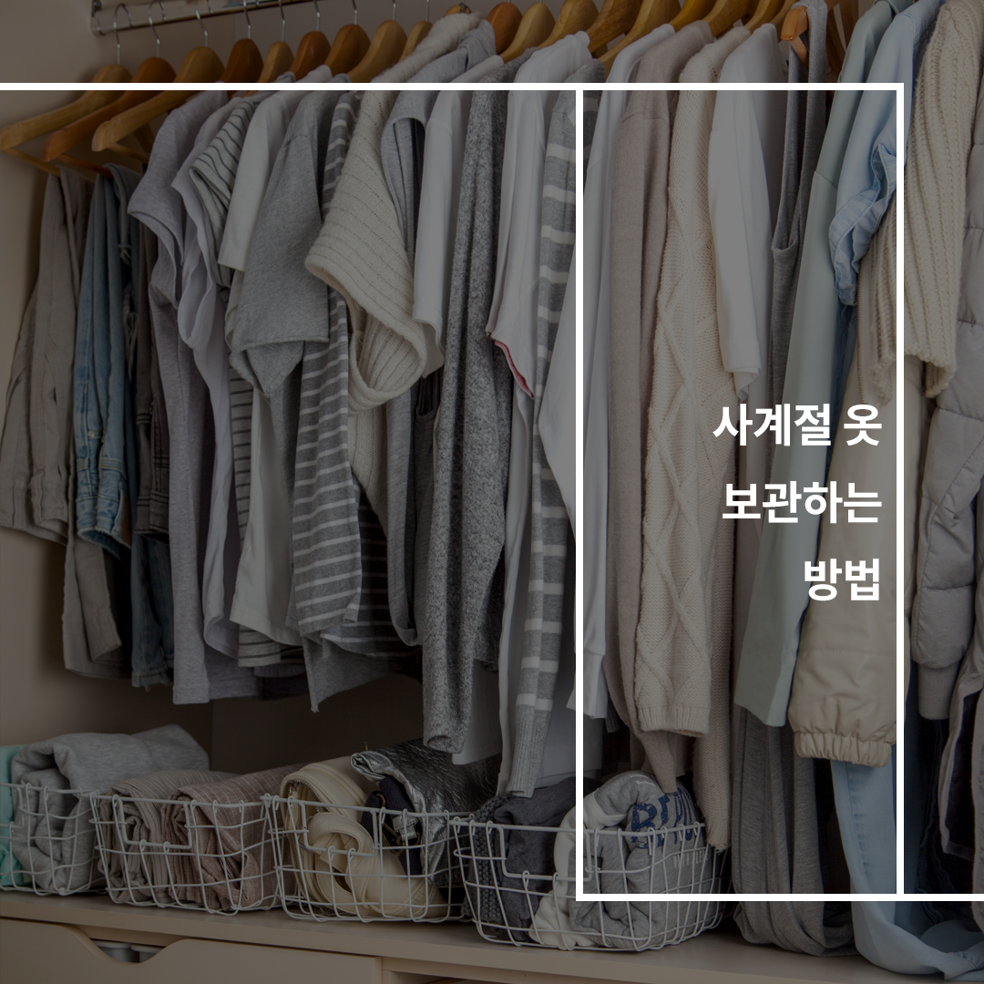 이미지4