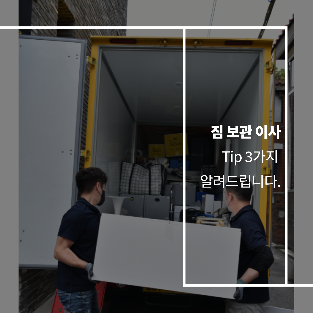 이미지3